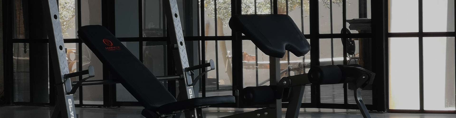 Bancos de musculación